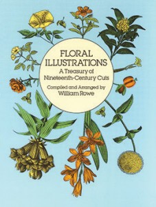 Bok Floral Illustrations 