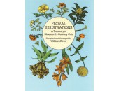 Bok Floral Illustrations 